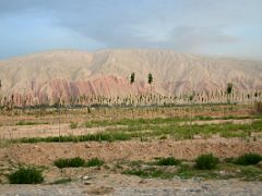 06 Eroded Red Hills Next To Village From Highway 219 Just After Leaving Karghilik Yecheng